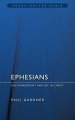 Ephesians : Focus on the Bibles