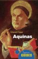 Aquinas: A Beginner's Guide