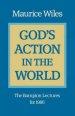 God's Action in the World