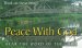 50 x Peace with God Tracts