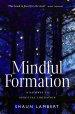 Mindful Formation