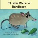 If You Were a Bandicoot