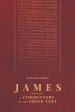 James: A Commentary on the Greek Text