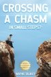 Crossing a Chasm: In Small Steps?