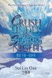 Crush Under the Starry Night: The First Chinese Christian Novel