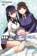 Accel World, Vol. 24 (light Novel)