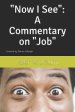 Now I See You: A Commentary on the Book of Job