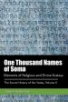 One Thousand Names of Soma: Elements of Religious and Divine Ecstasy