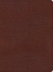 KJV Study Bible, Large Print Edition, Brown Bonded Leather