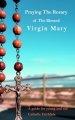 Praying The Holy Rosary Of The Blessed Virgin Mary: A guide for young and old Catholic faithfuls