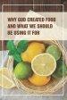 Why God Created Food And What We Should Be Using It For: Healthy Food Habit