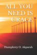 All You Need Is Grace: You Need More Than Your Efforts to Live Successfully in This World