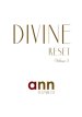 Divine Reset - Volume 3 - Ann Elizabeth