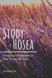 Study Hosea: Finding Fulfillment In The Arms Of God