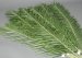 4 Foot Artificial Palm Branch