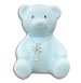 Teddy Money Box & Cross Blue