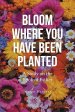 Bloom Where You Have Been Planted: A Study on the Book of Esther