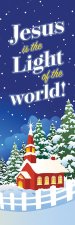 Bookmark-Jesus Is The Light Of The World!/Kids (John 1:9  12  NIV) (Pack Of 25)