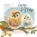 Happy Birthday Owls  - Greeting Card