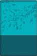 Woman After God's/Heart Bible-Teal (New)