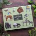 Fliplid Boxed Notecard Set - Patricia Maccarthy Jungle Green