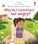 Very First Questions And Answers: Why Do I (sometimes) Feel Angry?