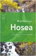 Journey Through Hosea