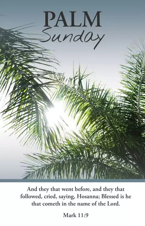 Palm Sunday Bulletin: Saying Hosanna (Package of 100)