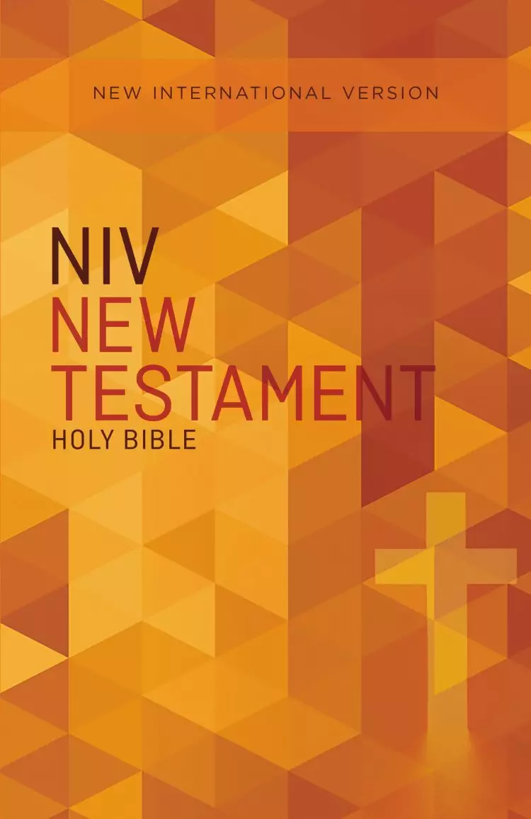 Outreach New Testament-NIV