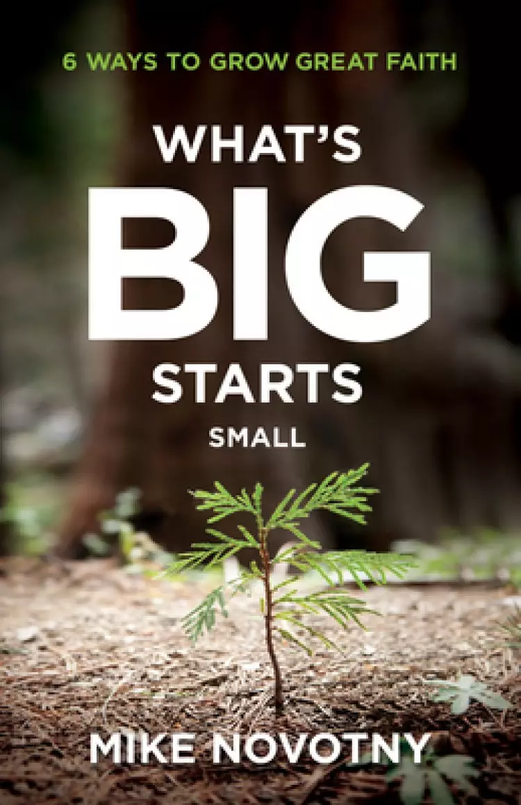 What's Big Starts Small