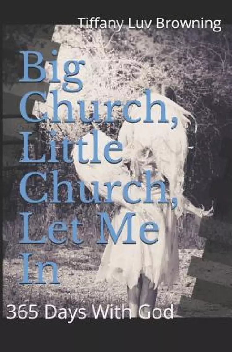 Big Church, Little Church, Let Me In: 365 Days With God