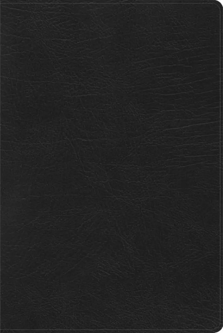 RVR 1960 Biblia de Estudio Arcoiris, negro símil piel