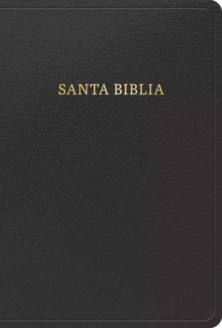 RVR 1960 Biblia letra grande tamaño manual, negro imitación piel (Edición 2023)