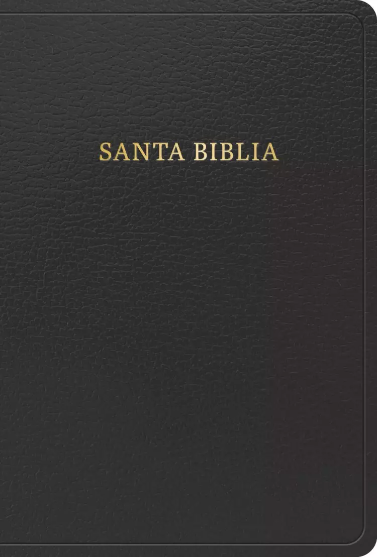 RVR 1960 Biblia letra grande tamaño manual, negro imitación piel con índice (Edición 2023)
