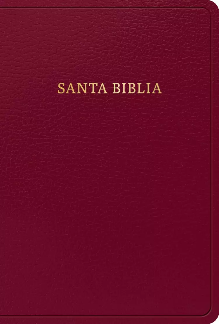 RVR 1960 Biblia letra grande tamaño manual, borgoña imitación piel (Edición 2023)