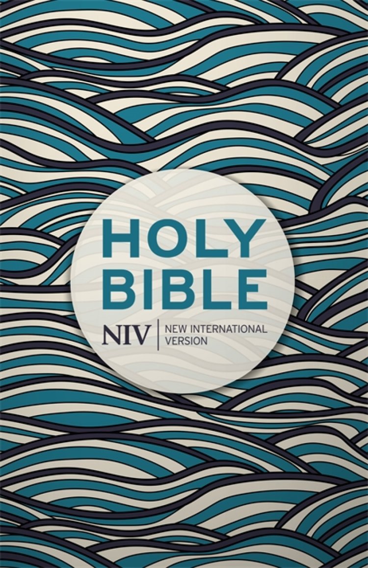 NIV Economy Bible, Blue, Paperback, Anglicised, Reading Plan, Index of