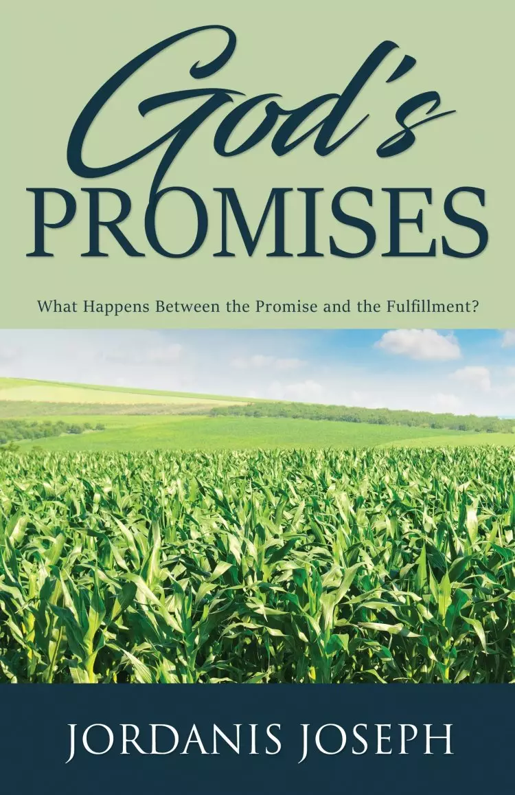 God's Promises:  What Happens Between the Promise and the Fulfillment?