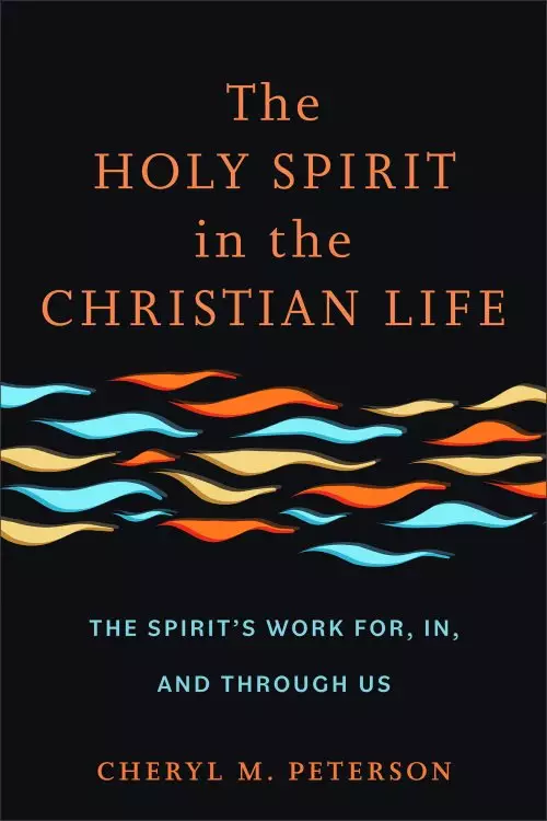 The Holy Spirit in the Christian Life: The Spirit's Work For, In, and Through Us