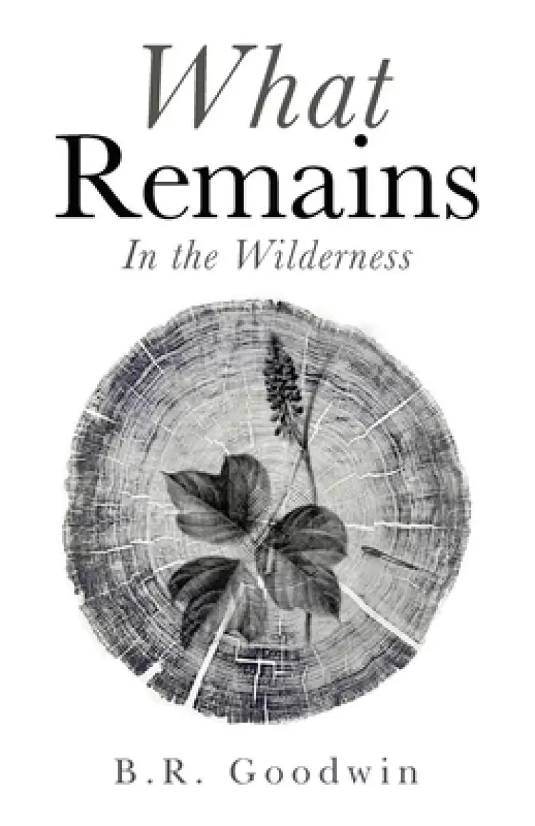 What Remains: In the Wilderness