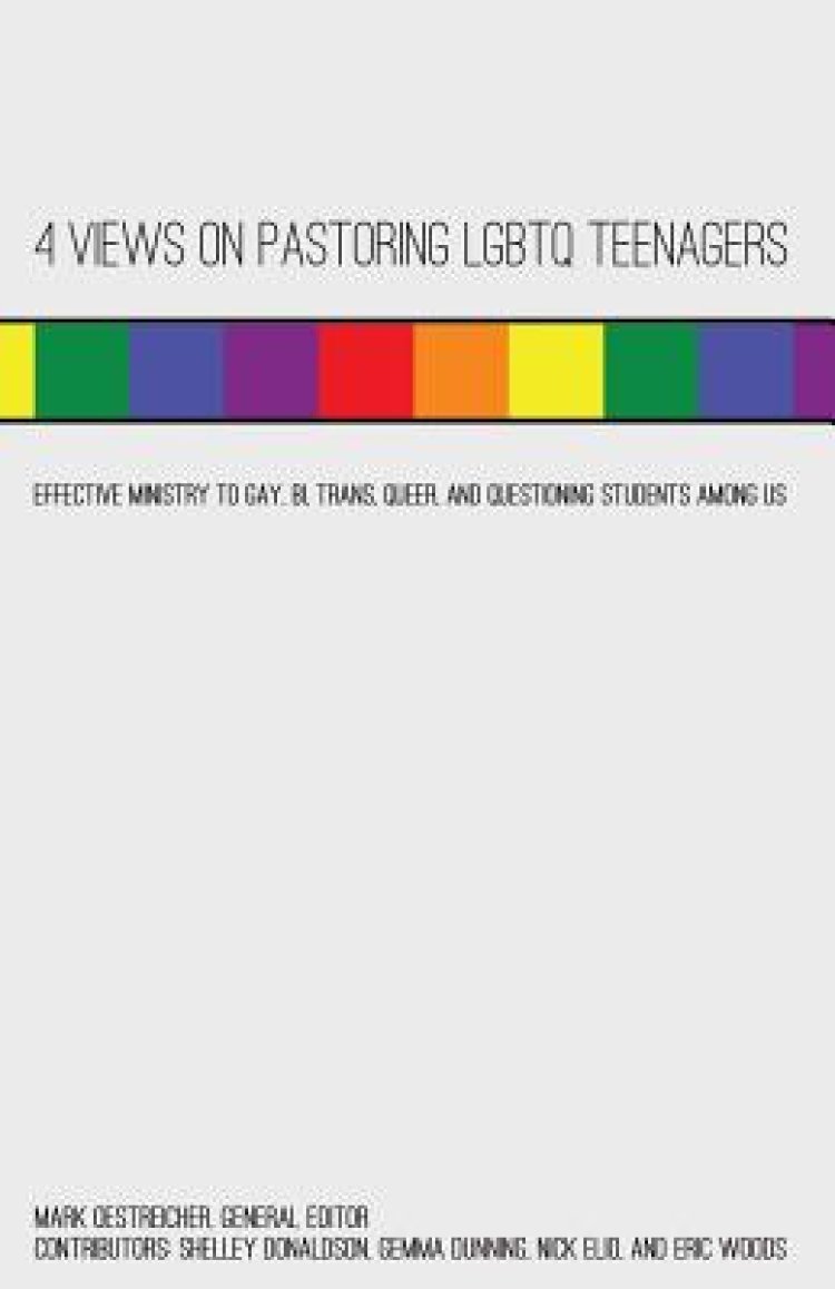 4 Views on Pastoring Lgbtq Teenagers: Effective Ministry to Gay, Bi, Trans,  Queer, and Questioning Students