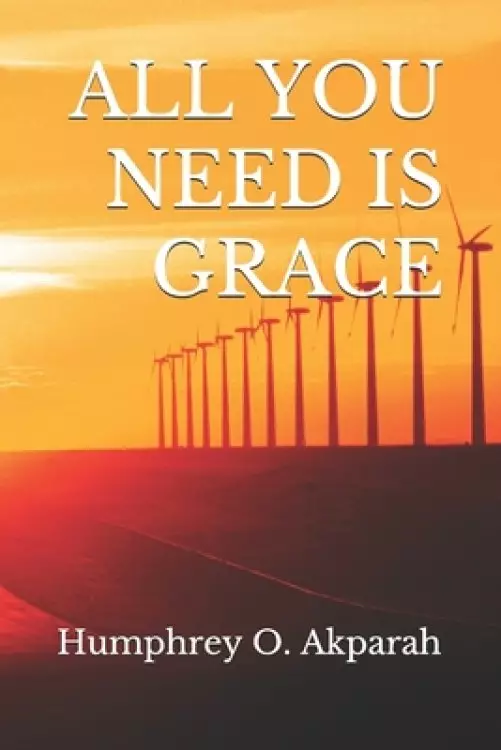 All You Need Is Grace: You Need More Than Your Efforts to Live Successfully in This World