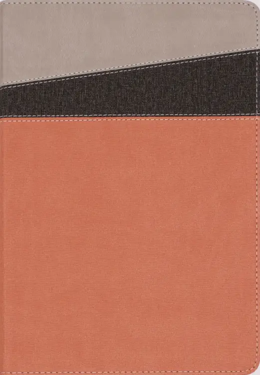 NIV Application Bible, Leathersoft, Coral/Gray, Red Letter, Comfort Print