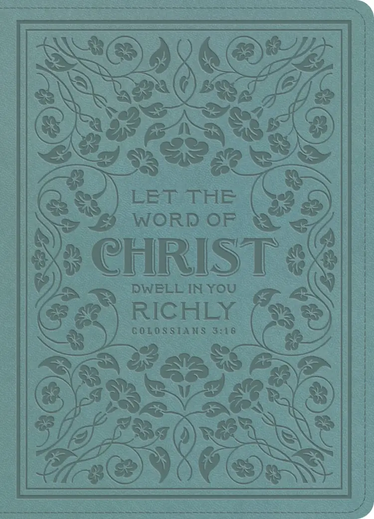 ESV Illuminated™ Bible, Art Journaling Edition (TruTone, Paris Sky, Colossians 3:16 Design)