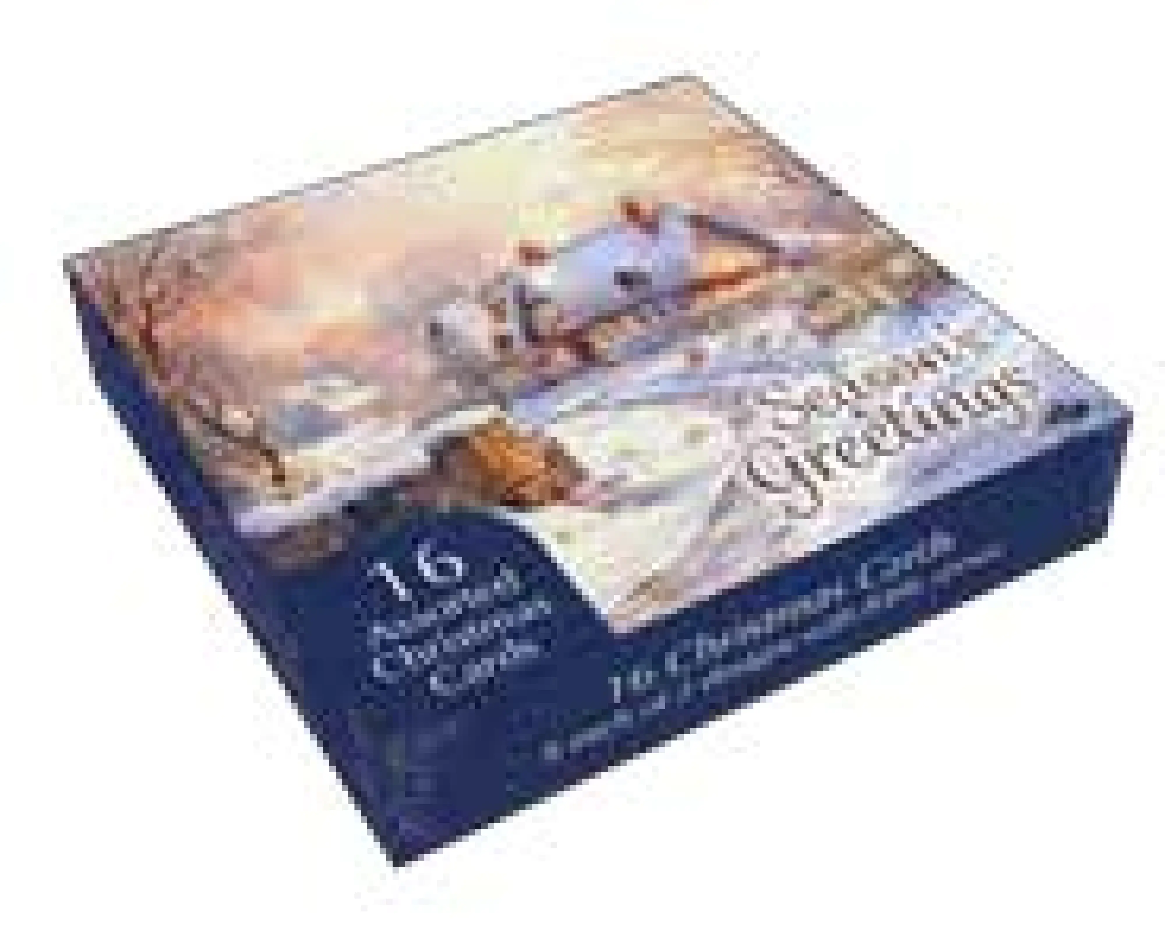 Christmas Boxed Cards: Winter Scenes (Pack Of 16)