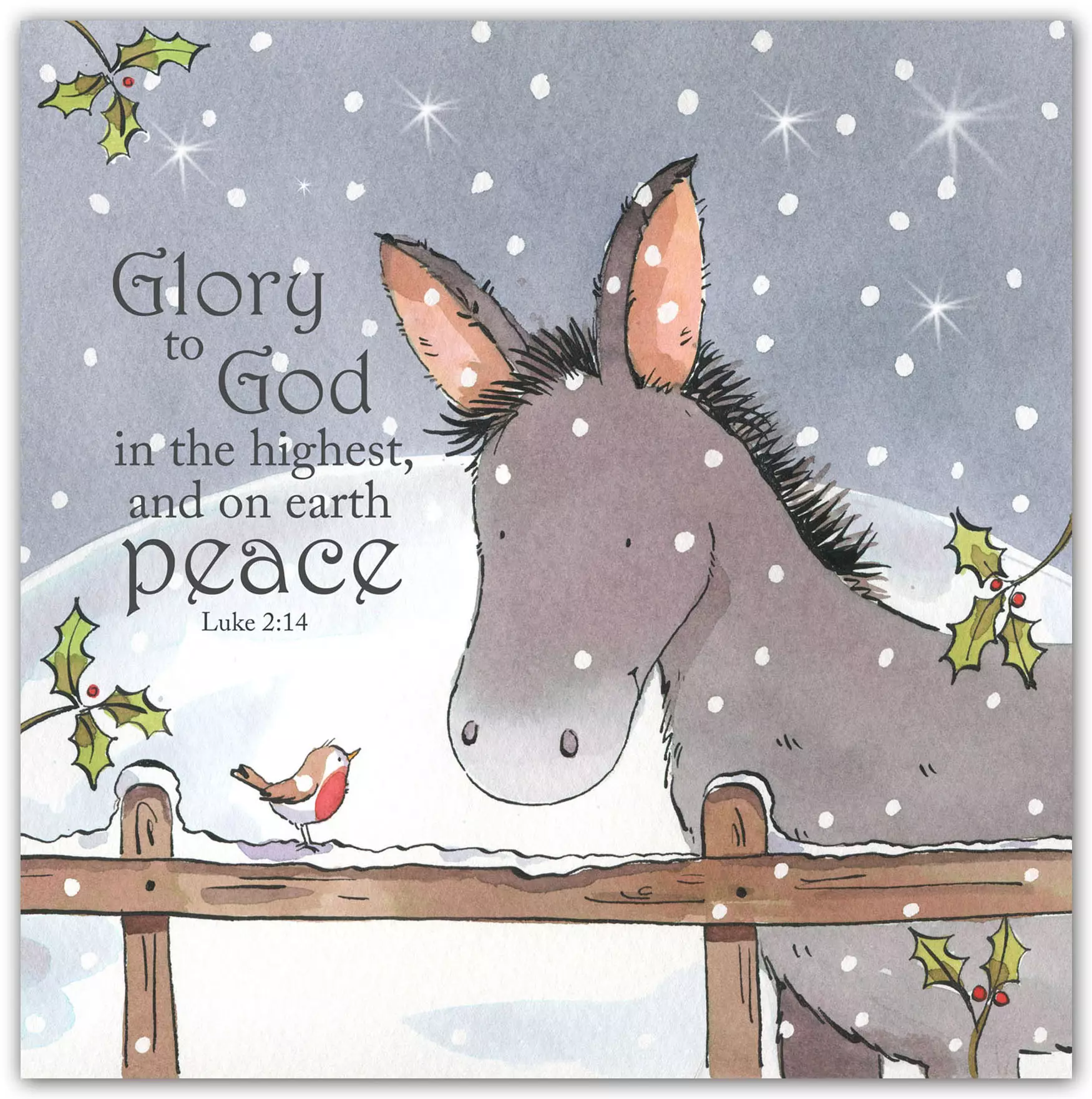 Little Donkey Christian Christmas Cards (Pack of 5)