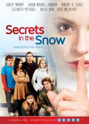 Secrets In The Snow DVD