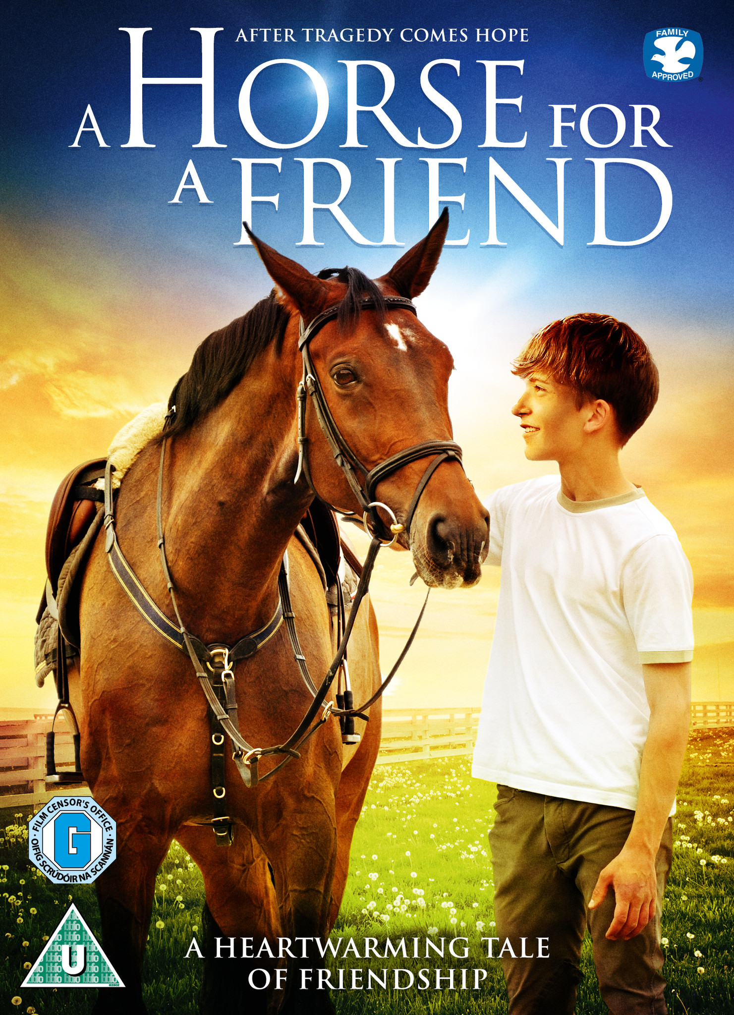 A Horse For A Friend Dvd Free Delivery At Eden Co Uk