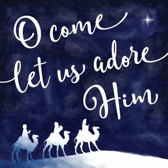 Charity Christmas Cards: Let us Adore (Pack of 10)