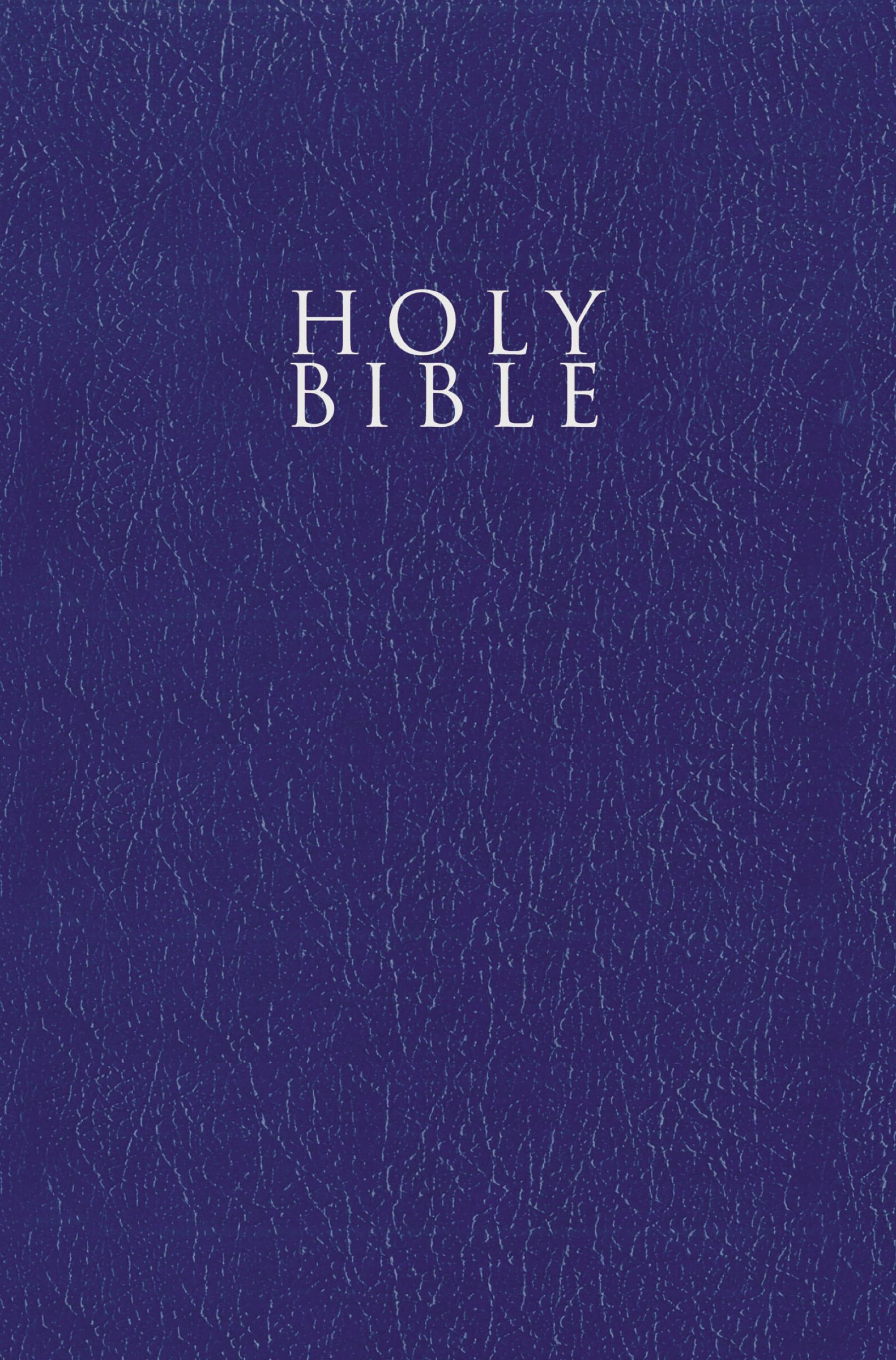 NIV Gift and Award Bible Leather-Look Blue Red Letter Edition Comf