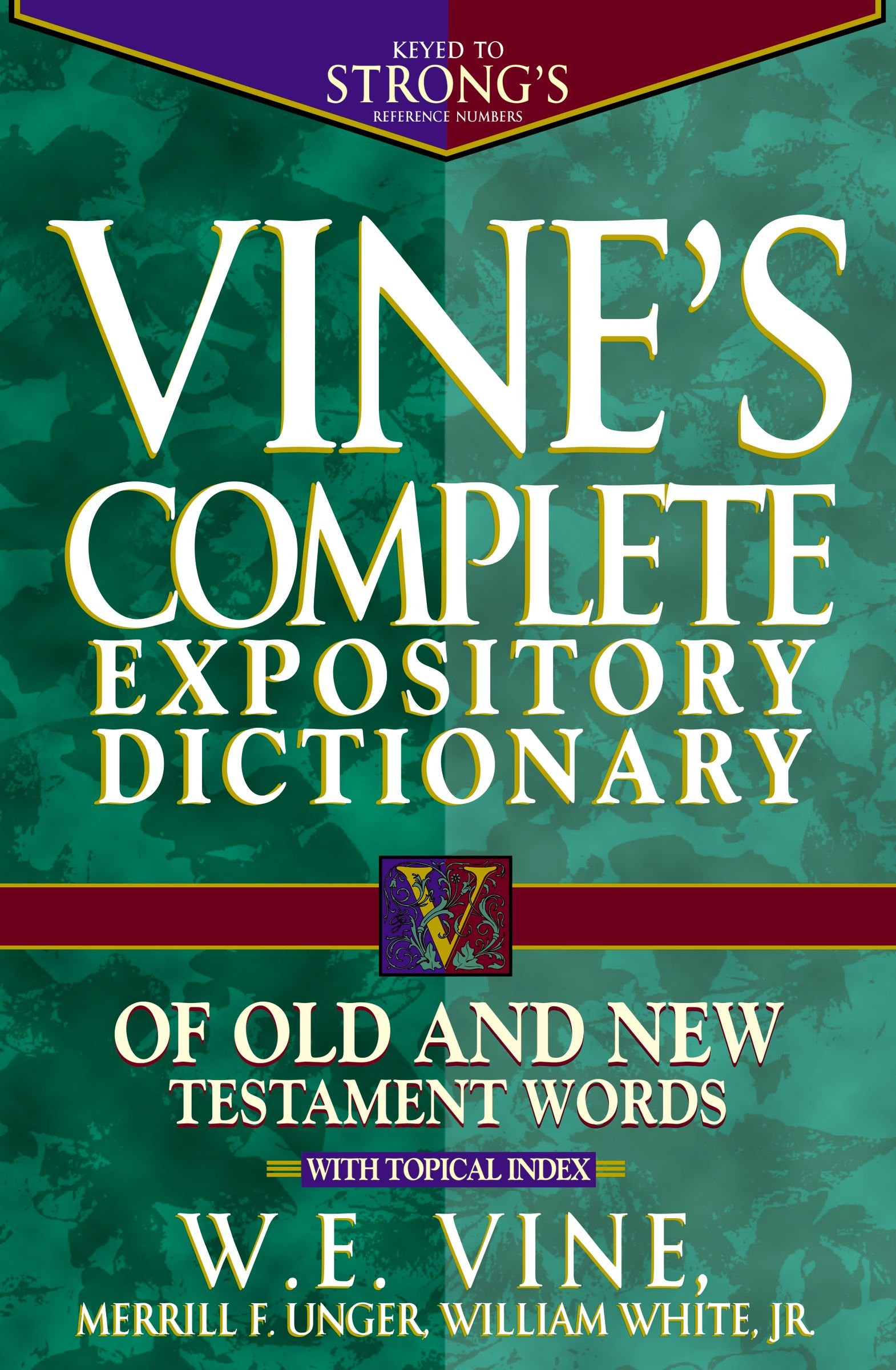 Vines Complete Expository Dictionary Of Old And New Testament Super Sa